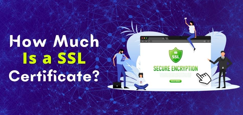HOW MUCH IS A SSL CERTIFICATE