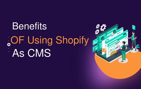 BENEFITS OF USING SHOPIFY AS CMS | SPAMBURNER™ - STOP WEBSITE SPAM &AMP; MANAGE LEADS 2023