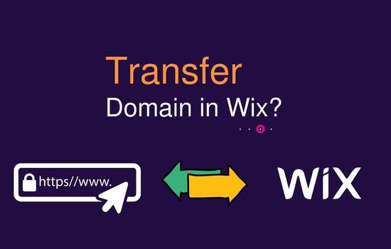 HOW TO TRANSFER DOMAIN IN | SPAMBURNER™ - STOP WEBSITE SPAM &AMP; MANAGE LEADS 2023