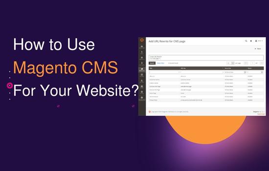 HOW TO USE MAGENTO CMS FOR YOUR WEBSITE | SPAMBURNER™ - STOP WEBSITE SPAM &AMP; MANAGE LEADS 2022
