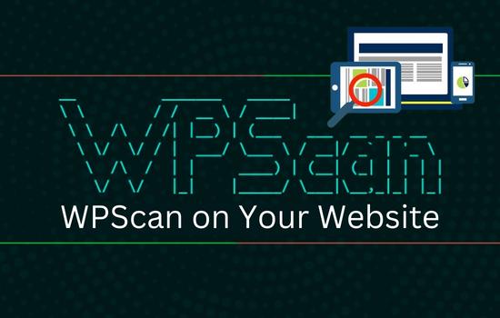 WPSCAN ON YOUR WEBSITE | SPAMBURNER™ - STOP WEBSITE SPAM &AMP; MANAGE LEADS 2023