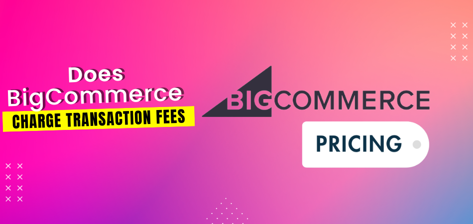 Does-BigCommerce-Charge-Transaction-Fees