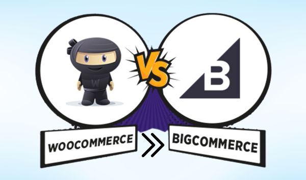 IS BIGCOMMERCE BETTER THAN WOOCOMMERCE | SPAMBURNER™ - STOP WEBSITE SPAM &AMP; MANAGE LEADS 2022